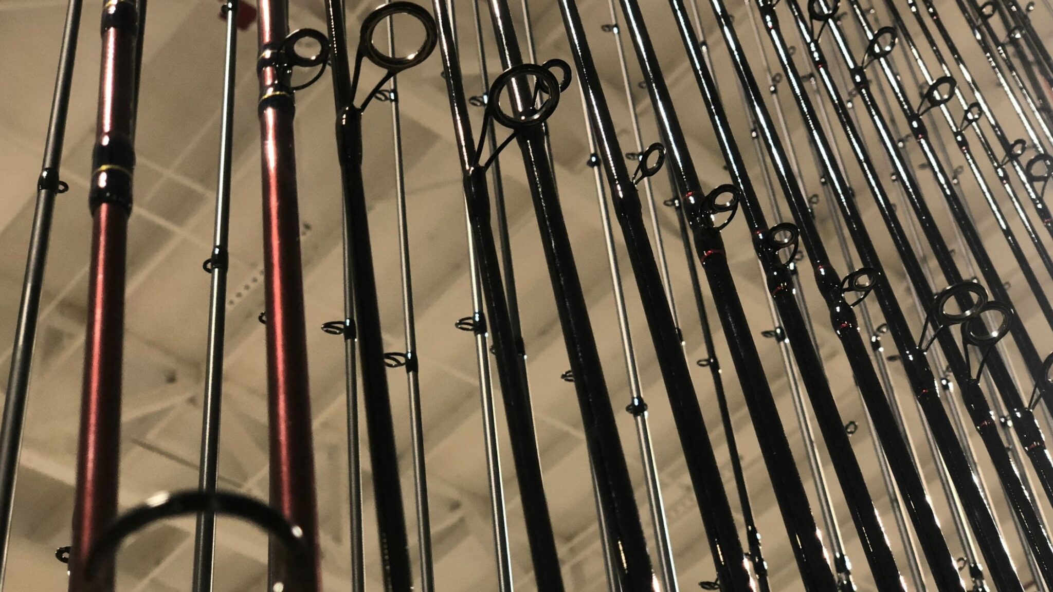 Types of Fishing Poles