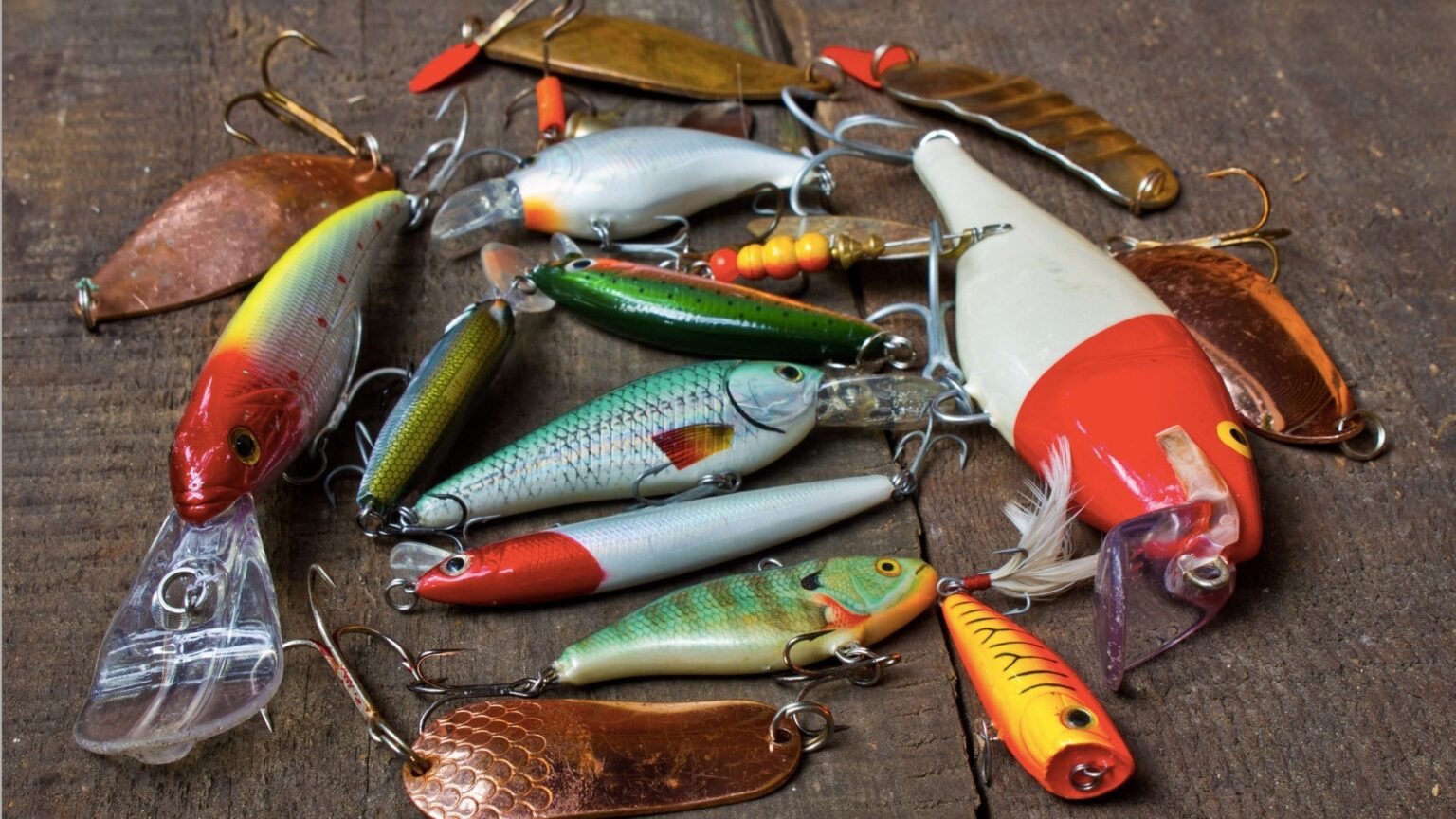 Types of Fishing Lures