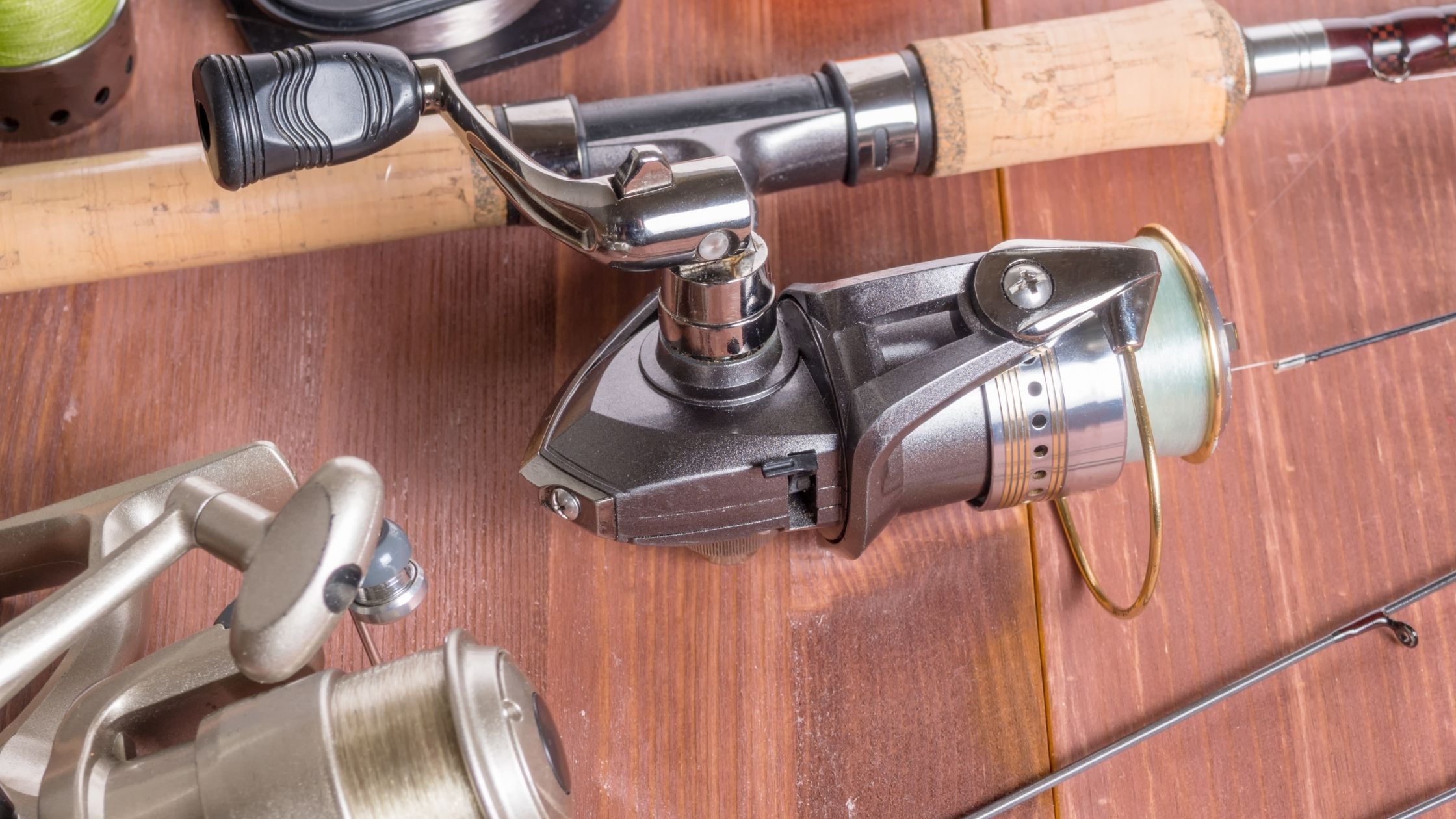 Types of Fishing Poles