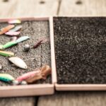 Types of Fishing Bait