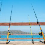 Types of Fishing Poles