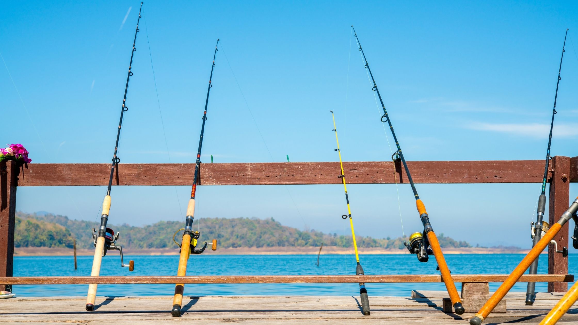 Types of Fishing Poles